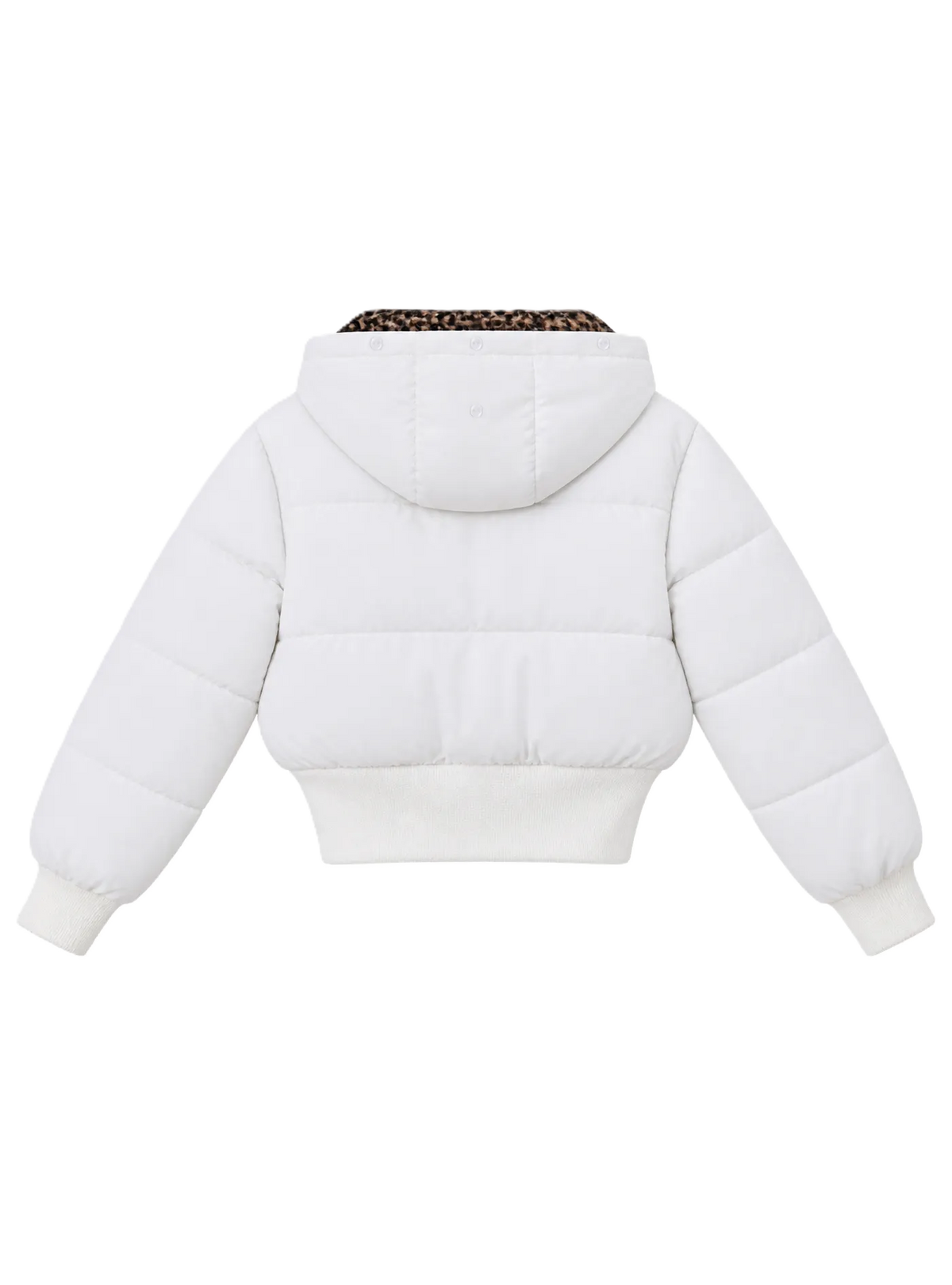 Classic Down Jacket Featuring A Detachable Fur Collar and An Attached Hood.