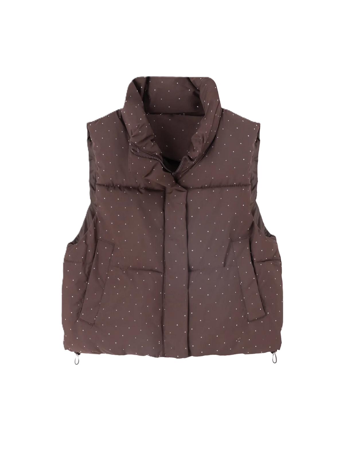 Latest Oversized Down Vest