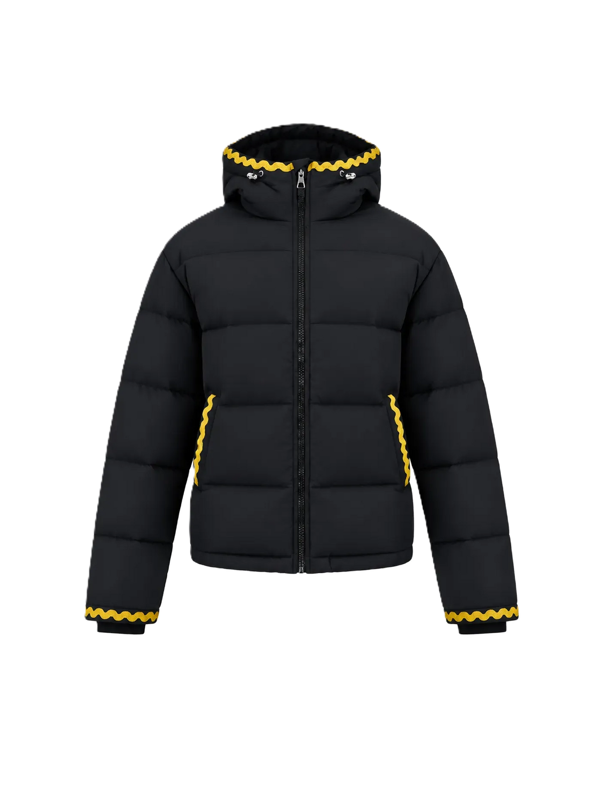 Color Embellished Hooded Down Jacket